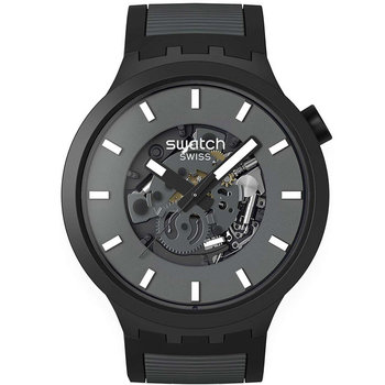 SWATCH Essentials Past The