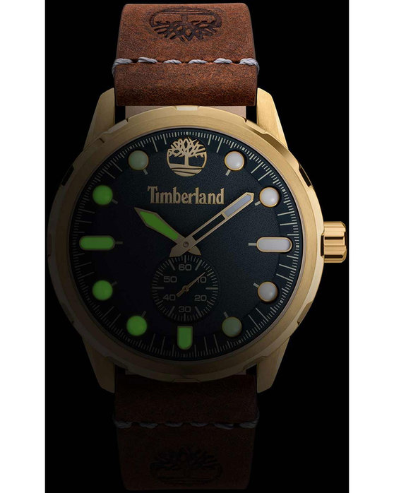 TIMBERLAND Adirondack Brown Leather Strap