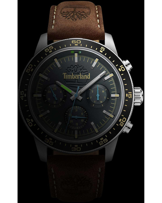 TIMBERLAND Parkman Brown Leather Strap