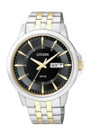 CITIZEN Two Tone Stainless Steel Bracelet