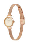 DANIEL WELLINGTON Petite Mini Champagne Melrose Rose Gold Stainless Steel Bracelet 19 mm