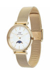 DANIEL WELLINGTON Petite Lune Gold Stainless Steel Bracelet 32 mm